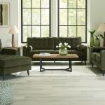 Reveon Lakes dvosjed